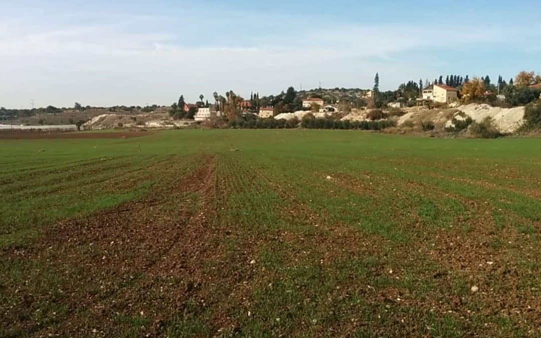 Moshav Zecharya